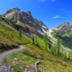 #16 Vielleicht lässt Trump mich nicht rein