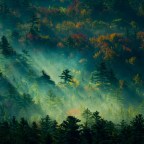 #Nach dem PCT / Kilometer 8 / Neid