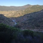 KM 0 – 66 / Von Campo nach Mt. Laguna /   1 Schmetterling, 2 Rehe, 12 Eidechsen und 24 Hiker