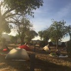 KM 111-123 / Julian / Have a break, have an apple pie