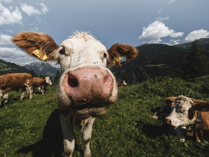 1A4421BF-55FE-460B-8BFE-E1FF7C08151A