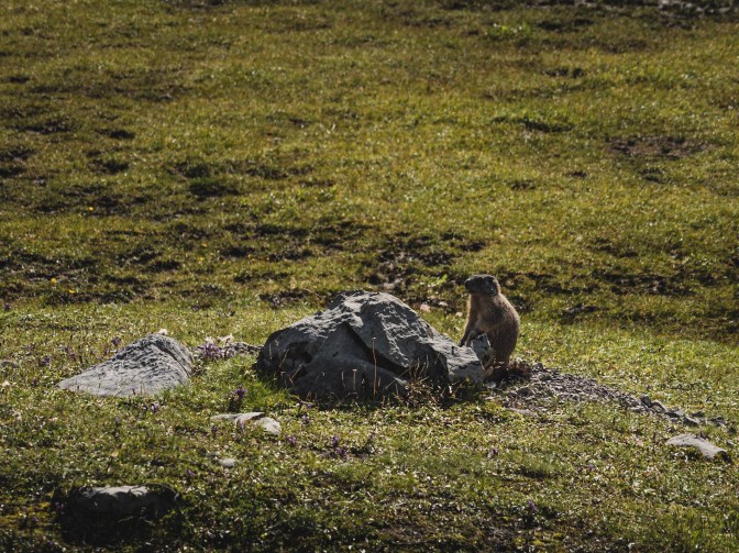 C5E0F420-7FB3-4958-B80D-52CC49F370C4