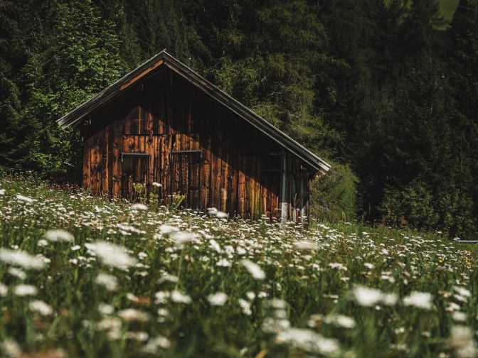 F4F0004C-1CD9-4506-ACEC-77712CD1E63C