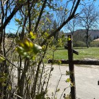 Grazie e arrivederci / Von Florenz nach Rom/ Tag 1 – 3 auf der Via di Francesco