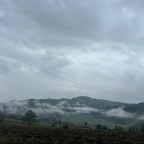 Der Liebe wegen/ Von Florenz nach Rom / Tag 4 bis Tag 7