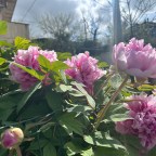 Das größte Schaumbad / Von Florenz nach Rom / Tag 8 – 11